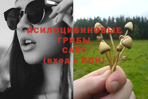 прущие крисы Семикаракорск