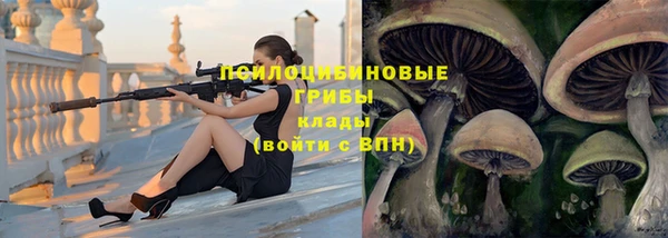 твердый Баксан